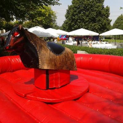 Bullriding